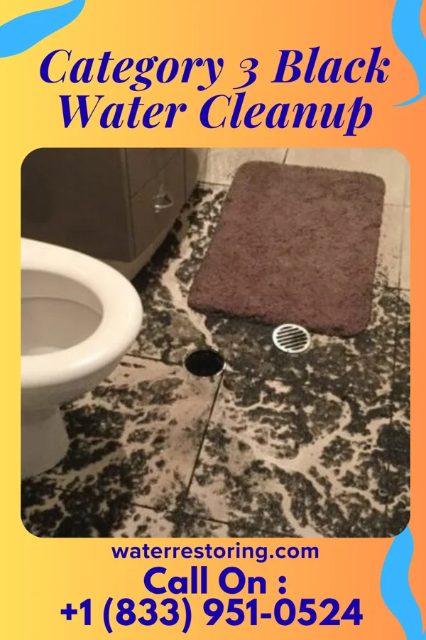 Category 3 Black Water Cleanup in Whittlesey, WI