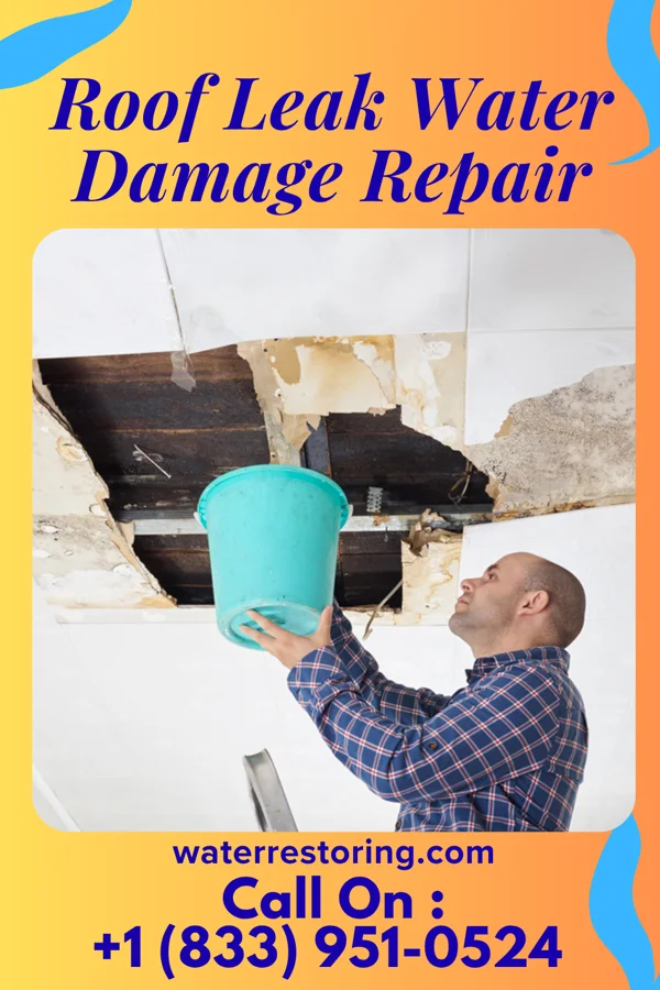 Roof Leak Water Damage Repair in Whittlesey, WI