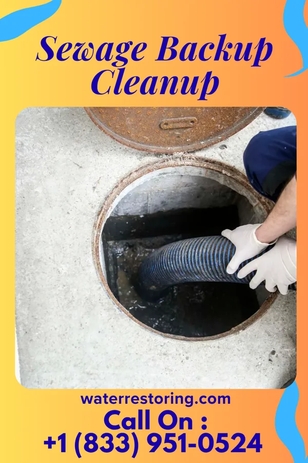 Sewage Backup Cleanup in Whittlesey, WI